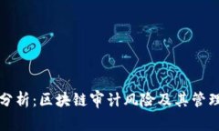 深入分析：区块链审计风险及其管理策略