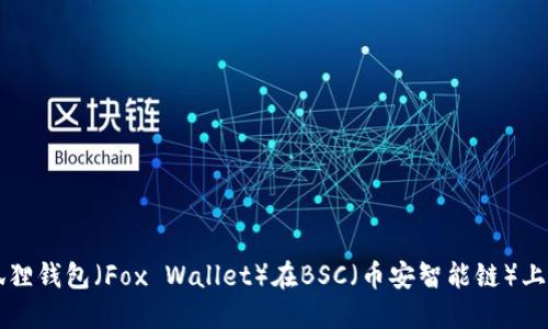 如何使用小狐狸钱包（Fox Wallet）在BSC（币安智能链）上进行安全交易
