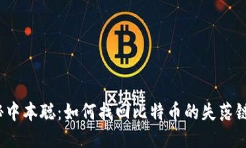 揭秘中本聪：如何找回比特币的失落链接？