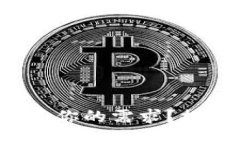 小狐狸钱包中文版能否满足你的需求？探索多语