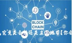 小狐狸钱包究竟是合法还是灰色地带？你会如何