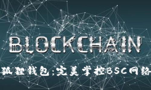 解密小狐狸钱包：完美掌控BSC网络的秘诀
