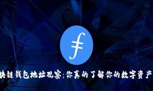 区块链钱包地址观察：你真的了解你的数字资产吗？