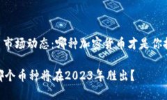 ## 当前虚拟币市场动态：哪种加密货币才是你投