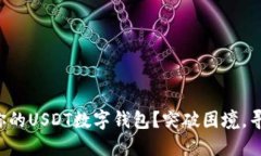 如何选择最适合你的USDT数字钱包？突破困境，寻