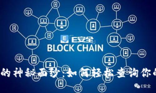 揭开区块链的神秘面纱：如何轻松查询你的交易记录？