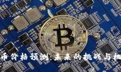 冰币价格预测：未来的挑战与机遇