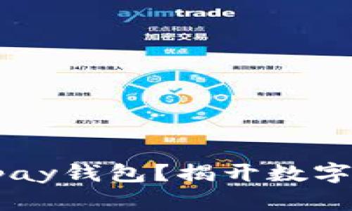 如何安全使用Topay钱包？揭开数字支付的神秘面纱！