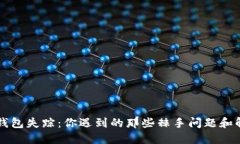 区块链钱包失踪：你遇到的那些棘手问题和解决