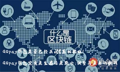 GOpay钱包是否已经关闭？真相揭晓！

GOpay钱包究竟是生存还是死亡：调整与未来的挑战
