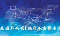 Binance交易所：它是国外的吗？揭开加密货币交易