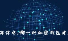 在数字货币的海洋中，哪一种加密钱包才是你的