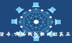 解锁你的虚拟货币：哪些钱包软件能真正保护你