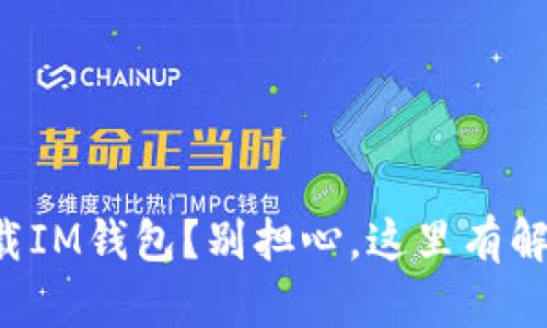 没法下载IM钱包？别担心，这里有解决方案！