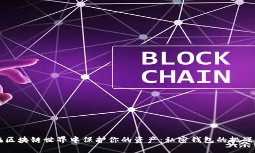 如何在区块链世界中保护你的资产：私密钱包的挑战与对策