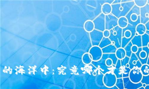 在数字钱包的海洋中：究竟哪个才是你的最佳选择？