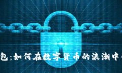 虚拟币钱包：如何在数字货币的浪潮中创造财富