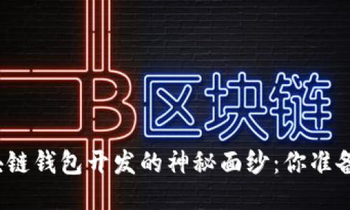 揭开区块链钱包开发的神秘面纱：你准备好了吗？