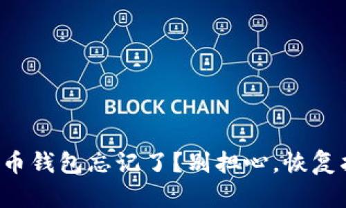 你的虚拟币钱包忘记了？别担心，恢复指南在这！