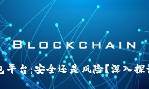 国内虚拟币钱包平台：安全还是风险？深入探讨你的投资选择