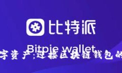 掌控你的数字资产：迎接区块链钱包的挑战与机