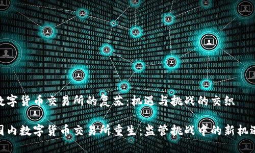 数字货币交易所的复苏：机遇与挑战的交织

国内数字货币交易所重生：监管挑战中的新机遇