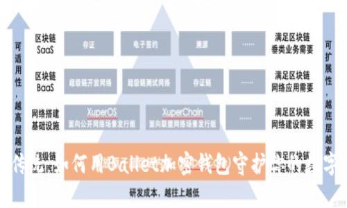 突破传统：如何用Ballet加密钱包守护你的数字财富