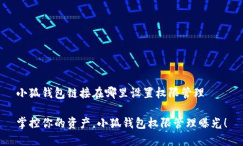 小狐钱包链接在哪里设置权限管理

掌控你的资产，小狐钱包权限管理曝光！