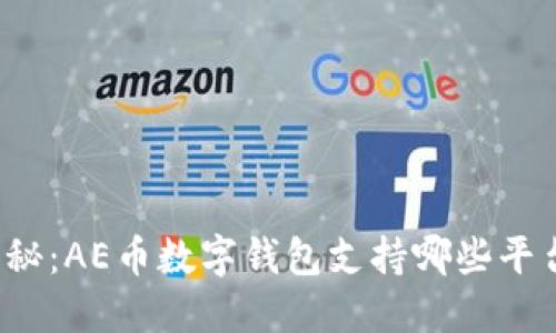 揭秘：AE币数字钱包支持哪些平台？