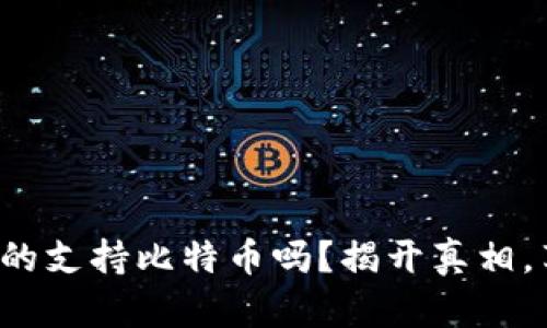 小狐狸钱包真的支持比特币吗？揭开真相，享受安全交易！