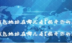 区块链Nami钱包地址在哪儿看？揭开你的数字资产