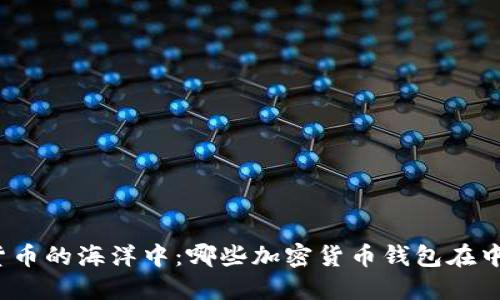 在数字货币的海洋中：哪些加密货币钱包在中国可用？