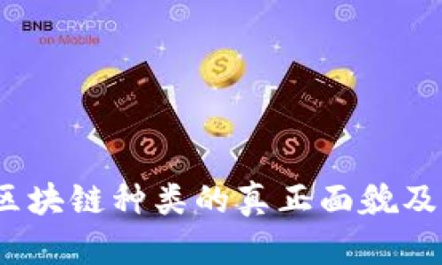 深度剖析：区块链种类的真正面貌及其应用挑战