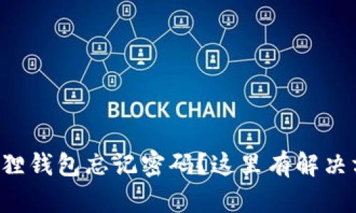 小狐狸钱包忘记密码？这里有解决方案！