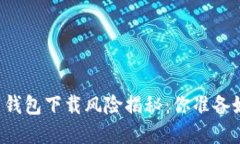 虚拟币钱包下载风险揭秘：你准备好了吗？