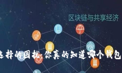 数字币钱包选择的困扰：你真的知道哪个钱包最适合你吗？