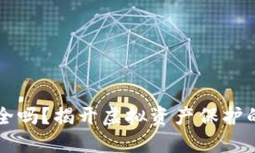 TPWallet钱包安全吗？揭开虚拟资产保护的挑战与解决方案