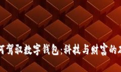 富豪如何驾驭数字钱包：科技与财富的碰撞挑战