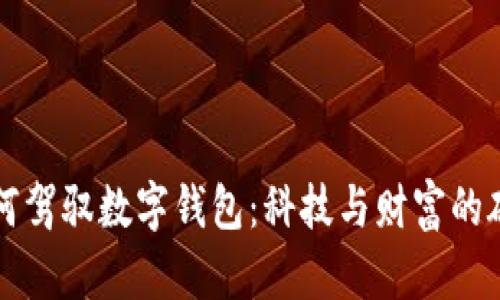 富豪如何驾驭数字钱包：科技与财富的碰撞挑战