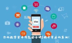 你的数字货币钱包安全吗？揭开背后的真相！