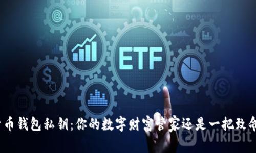 加密货币钱包私钥：你的数字财富管家还是一把致命钥匙？