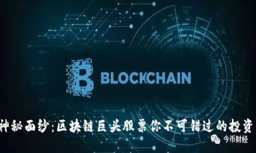 揭开神秘面纱：区块链巨头股票你不可错过的投资机会！