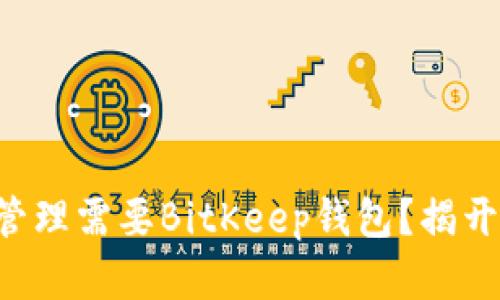 为什么你的数字资产管理需要BitKeep钱包？揭开这款钱包的实用功能！