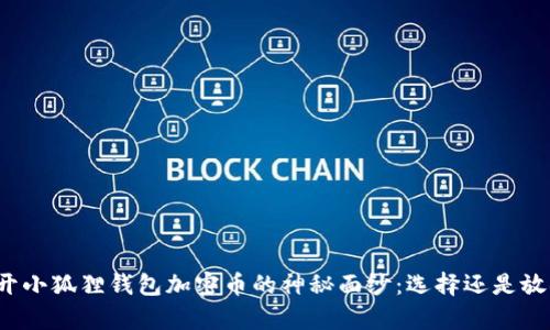 揭开小狐狸钱包加密币的神秘面纱：选择还是放弃？