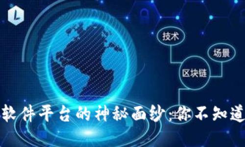 揭开区块链软件平台的神秘面纱：你不知道的十大巨头