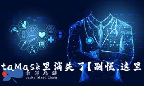 你的币在MetaMask里消失了？别慌，这里有解决方案！