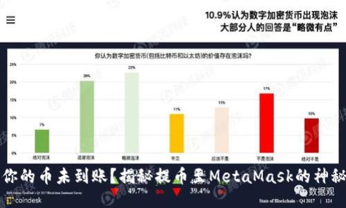 为何你的币未到账？揭秘提币至MetaMask的神秘障碍
