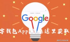 找不到数字钱包App？快来这里获取下载指南！