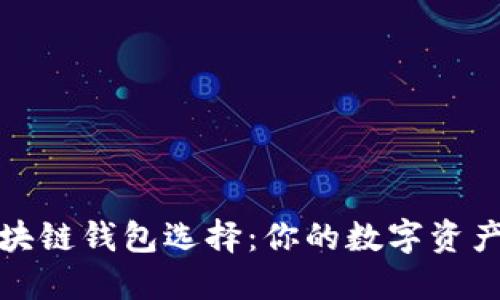 最稳妥的区块链钱包选择：你的数字资产安全守护者