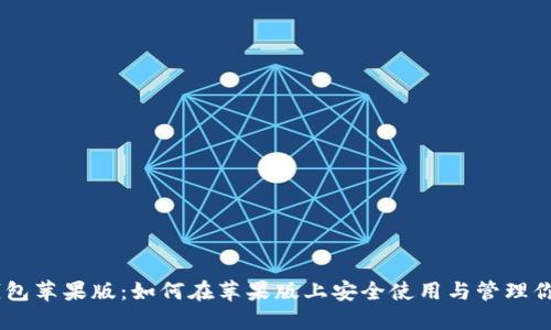 MetaMask钱包苹果版：如何在苹果版上安全使用与管理你的数字资产？